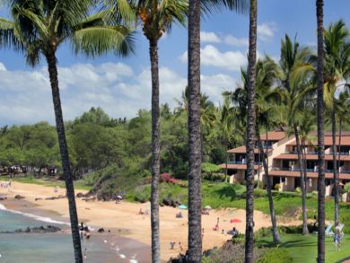 Beach view